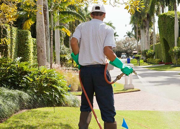 About Breckenridge CO Pest Control